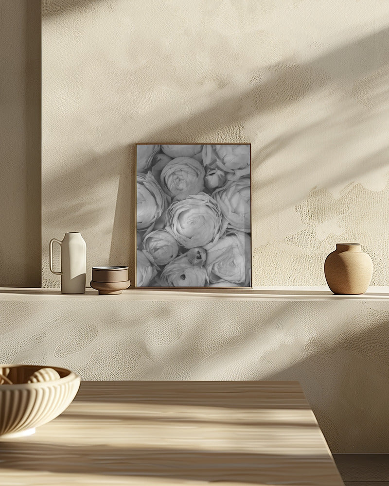 Gray ranunculus Poster