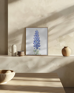 Watercolor Texas bluebonnet Poster