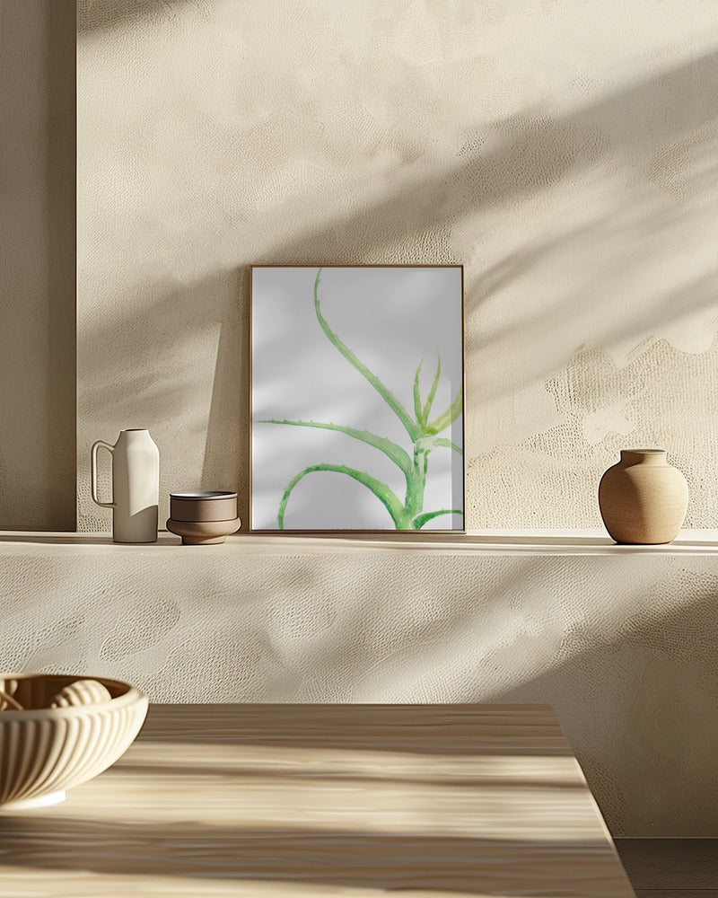 Watercolor aloe vera Poster