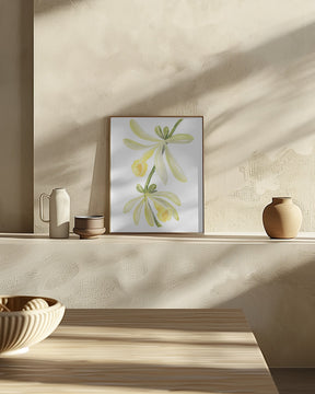 Watercolor vanilla orchid Poster