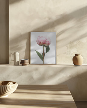 Pink peony II Poster