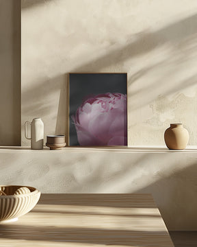 Moody pink peony II Poster