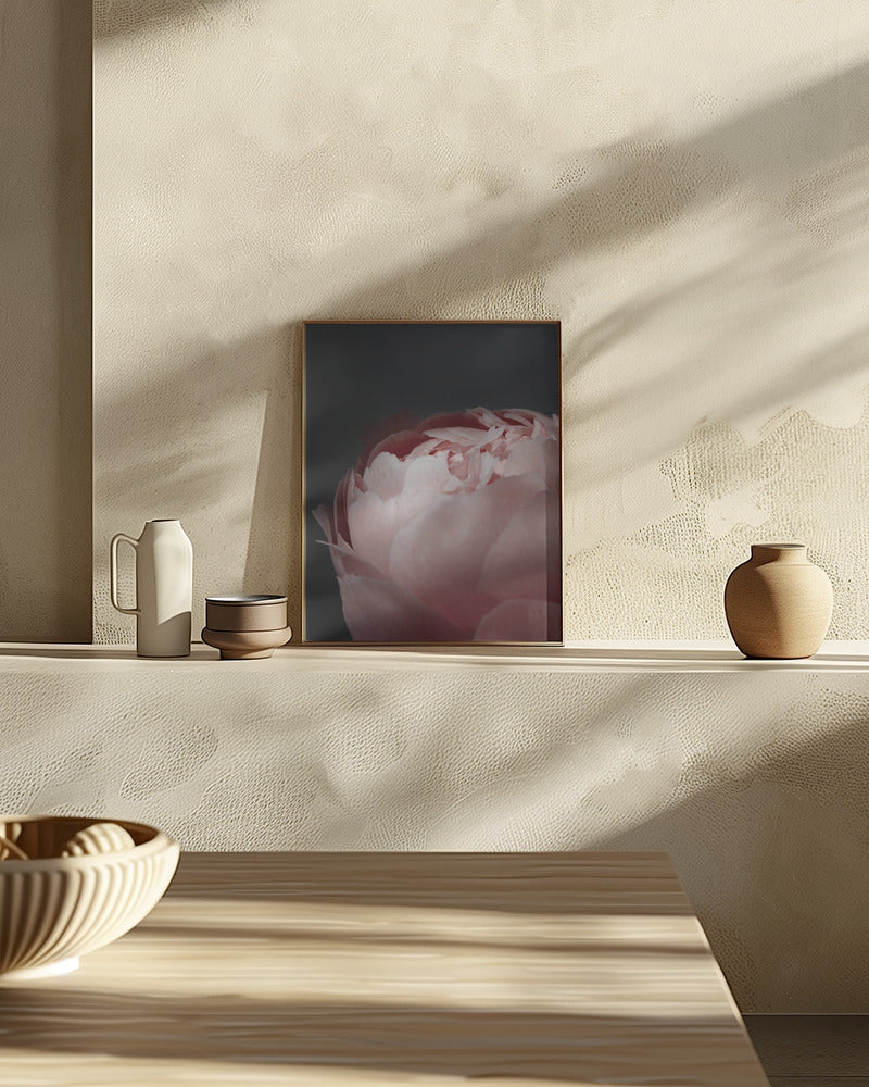 Moody blush peony II Poster