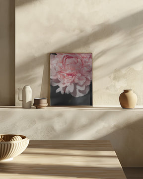 Blush peony V Poster