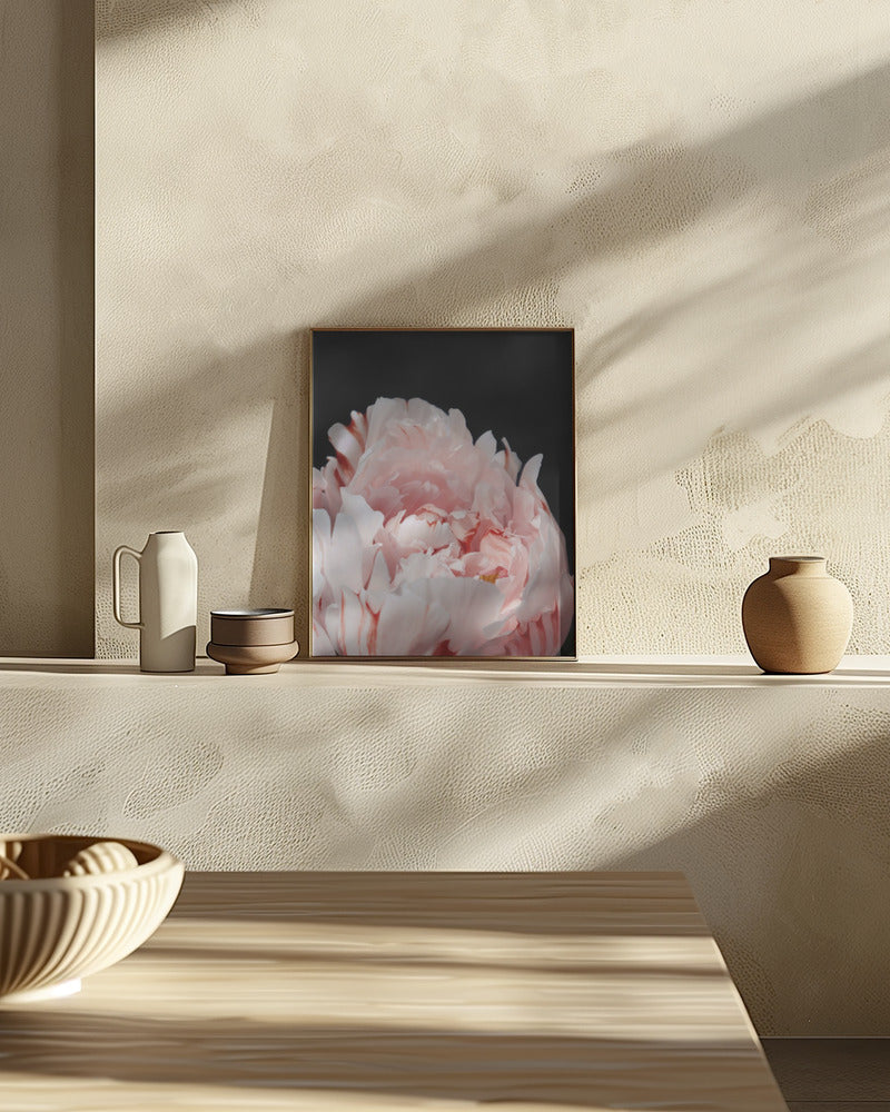 Blush peony VIII Poster