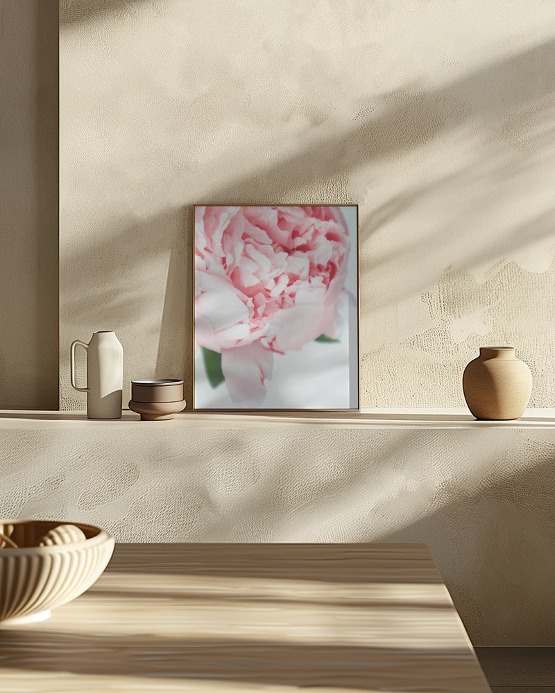 Blush peony VII Poster