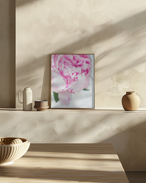 Pink peony VII Poster