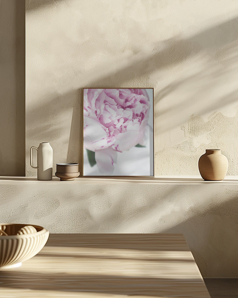 Subdued peony VII Poster