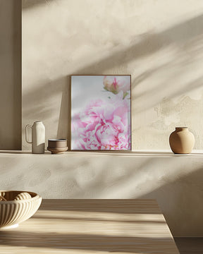 Pink peony IX Poster