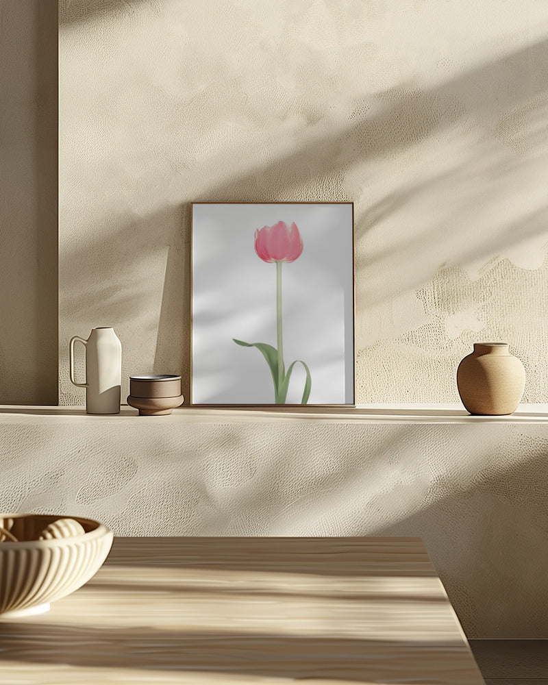 Pink tulip Poster