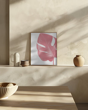 Pink monstera leaf Poster