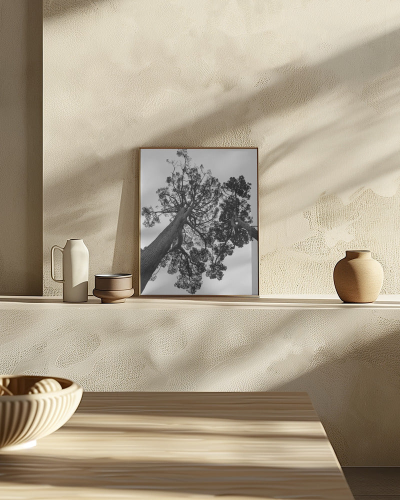 Japanese Garden 02 Poster