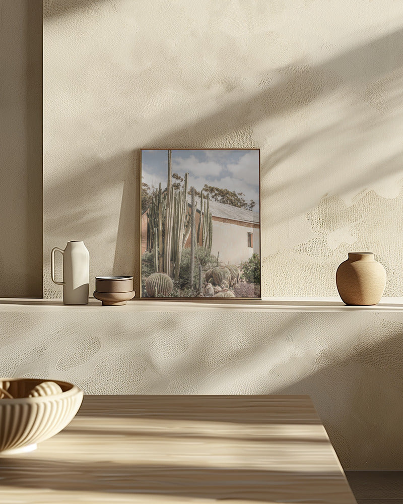 Karoo Garden 02 Poster