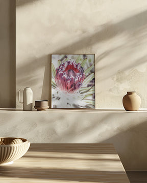 Wild Protea Poster