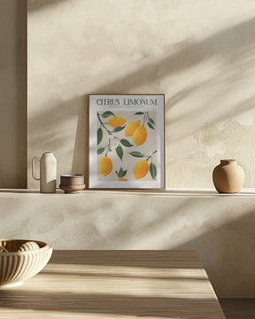 Citrus Limonum - Lemon Poster