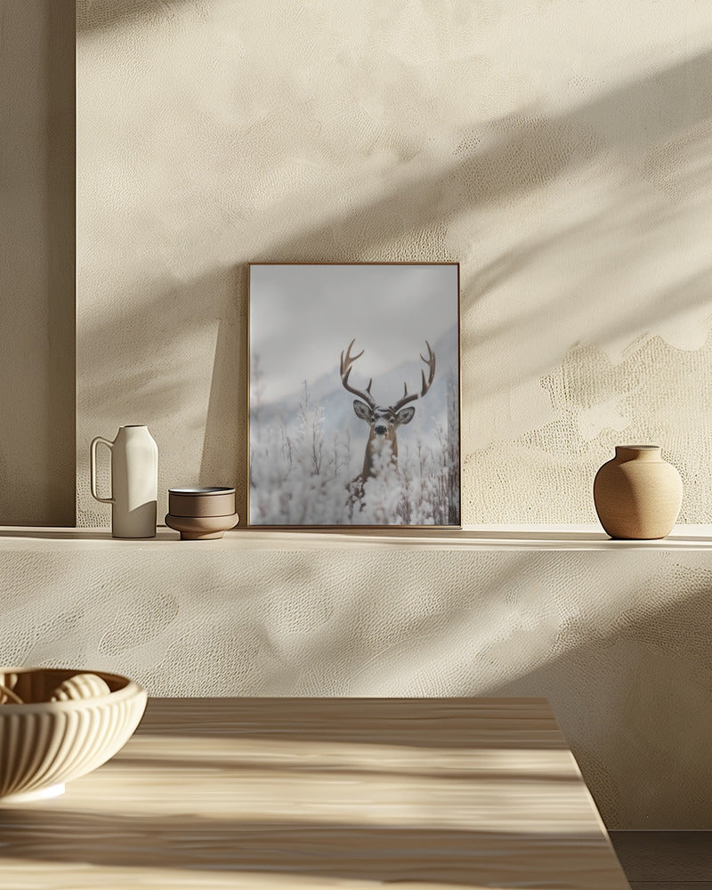 Curious Deer Poster