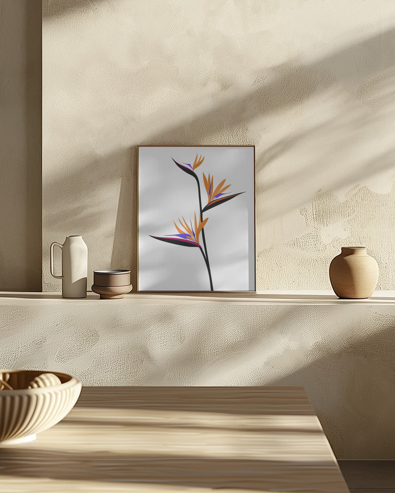 Bird of paradise in black Poster