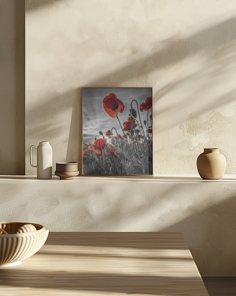 Fascinating poppies | colorkey Poster