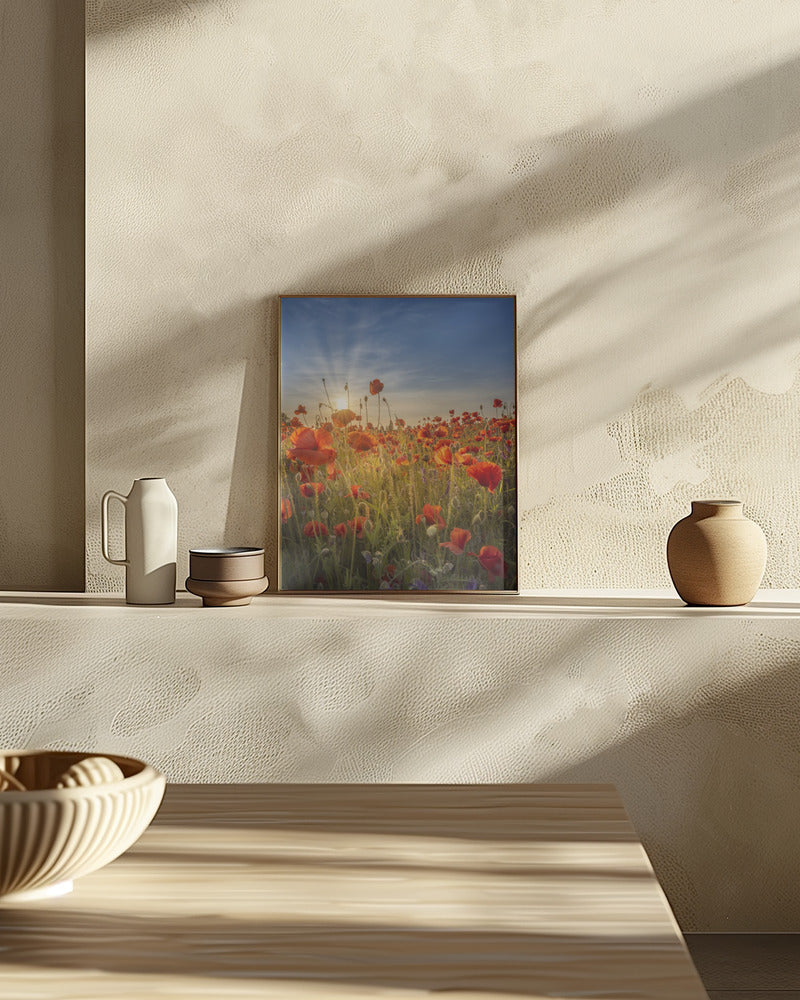 Gorgeous sunset in a poppy field Poster