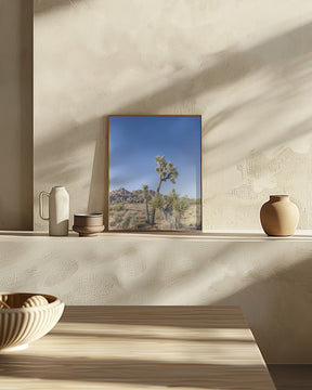 Idyllic Joshua Tree National Park Poster