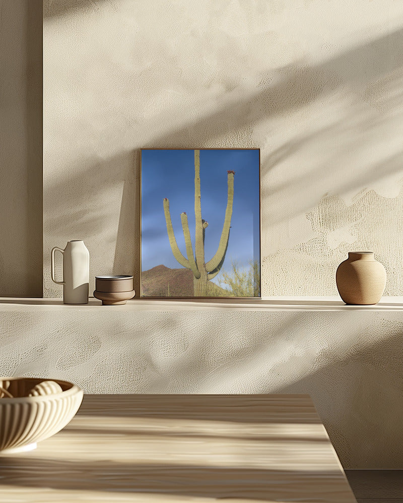 SAGUARO NATIONAL PARK Giant Saguaro Poster