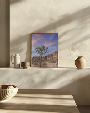 Joshua Tree Evening Atmosphere Poster