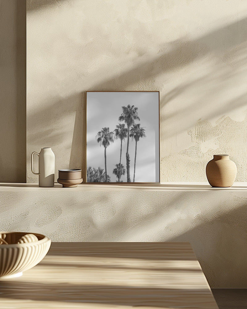 Palm trees | monochrome Poster