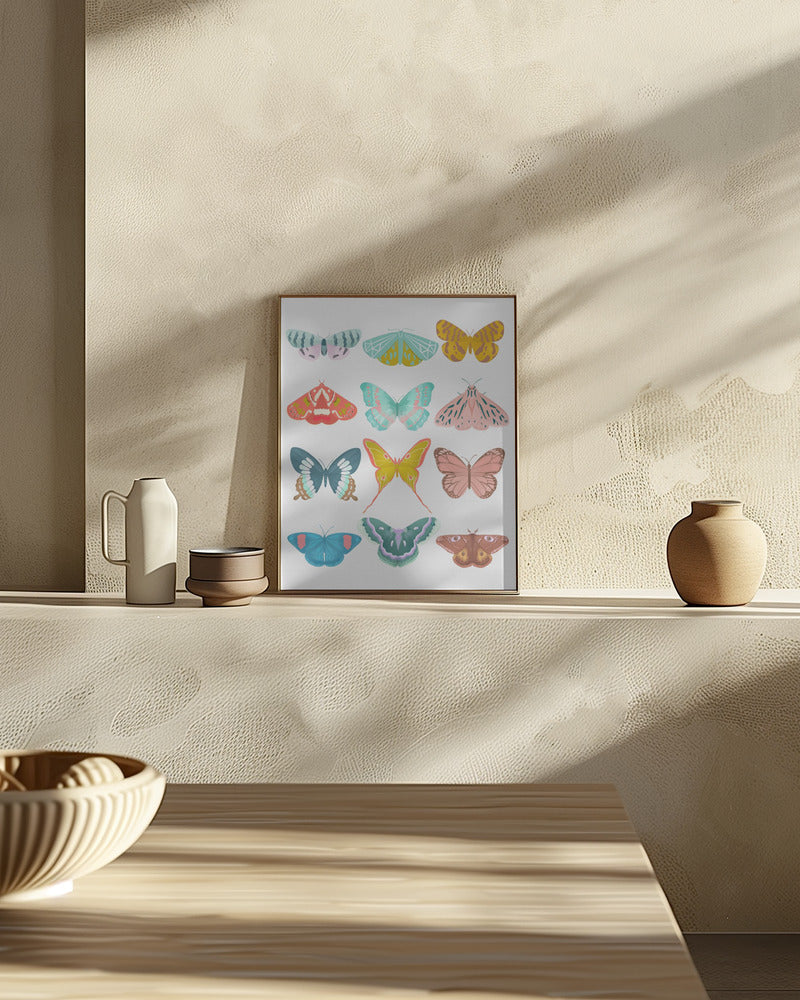 Butterfly Poster