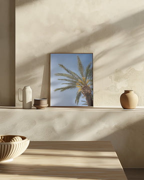 Vejer de La Frontera Palm Tree Poster