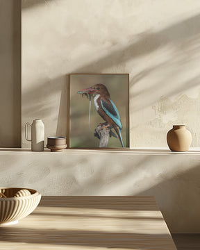 White-throated kingfisher AZ Poster