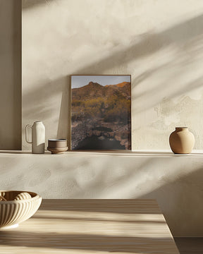 Ventana Canyon Poster