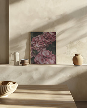 Old Pink Hydrangeas Poster