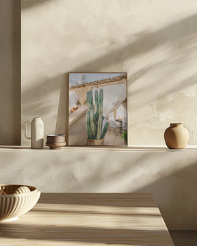 Rooftop Cactus | Morocco Travel Photography Poster