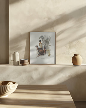 Albert Lyre Bird Poster