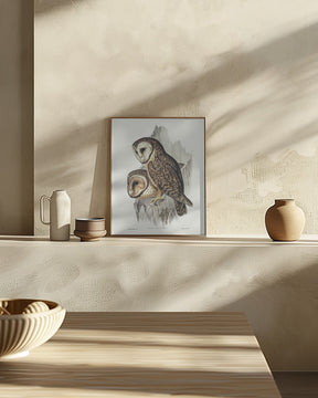 Chestnut Faced Owl Poster