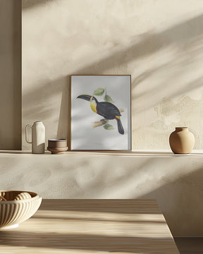 Osculant Toucan Poster