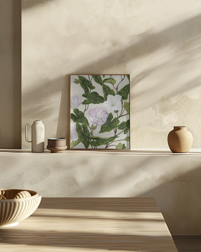 Bindweed Pohu By Sarah Featon (1848–1927) Poster