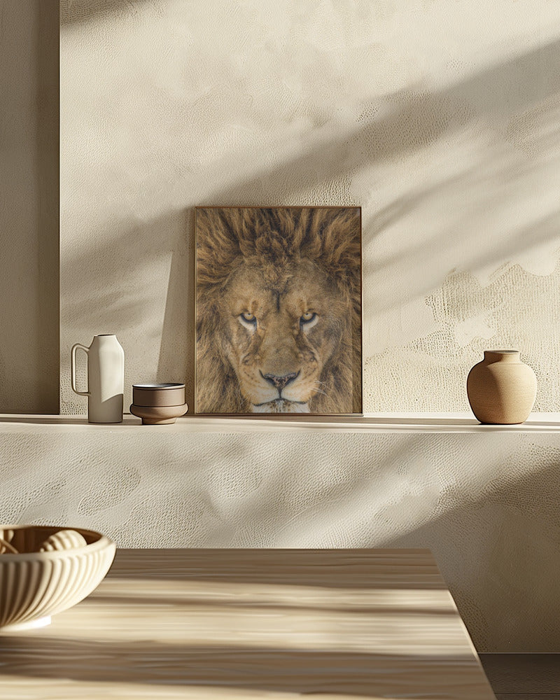 Serious Lion Poster