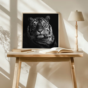 Tiger Poster