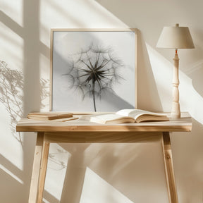 Tragopogon Poster