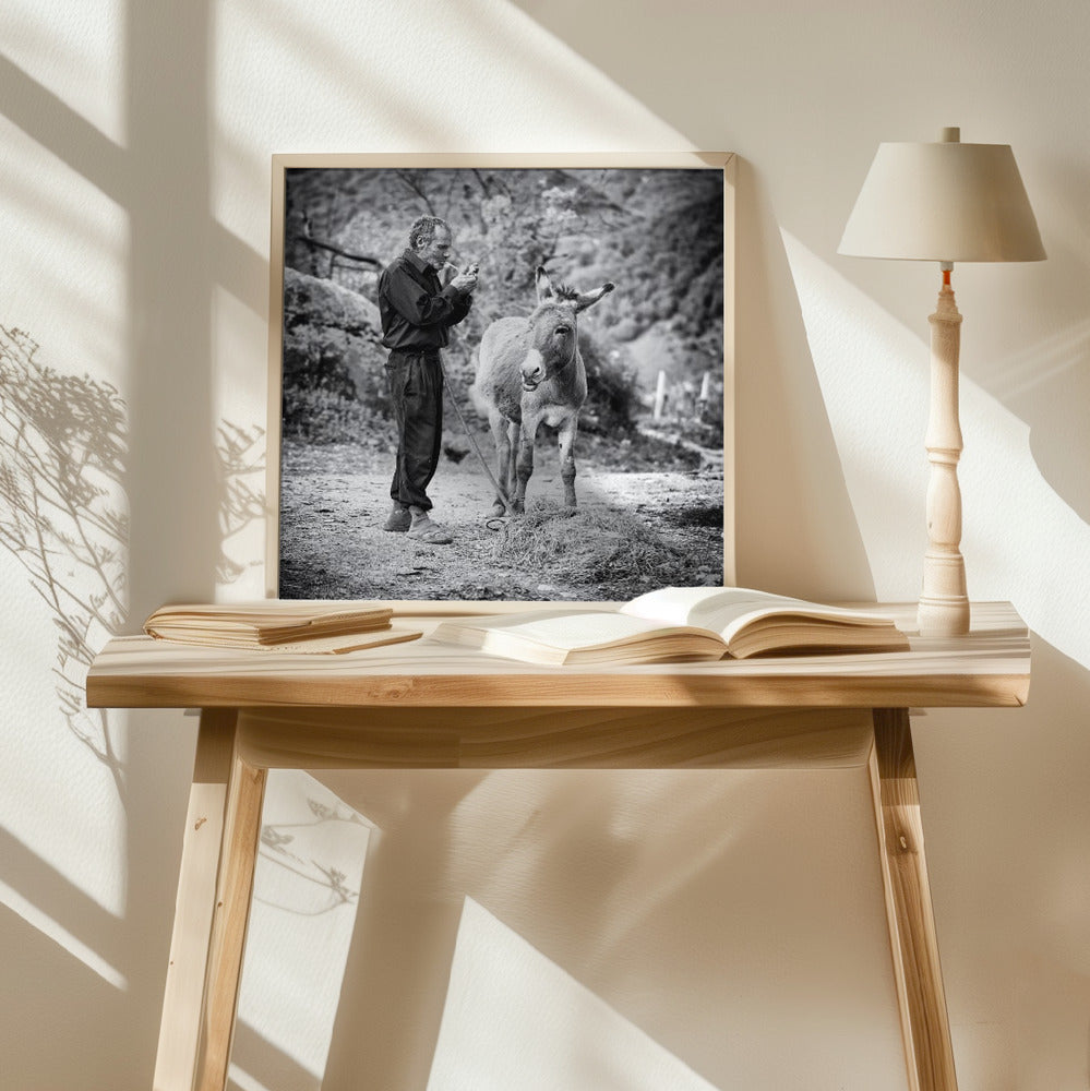 Vova and his donkey Poster