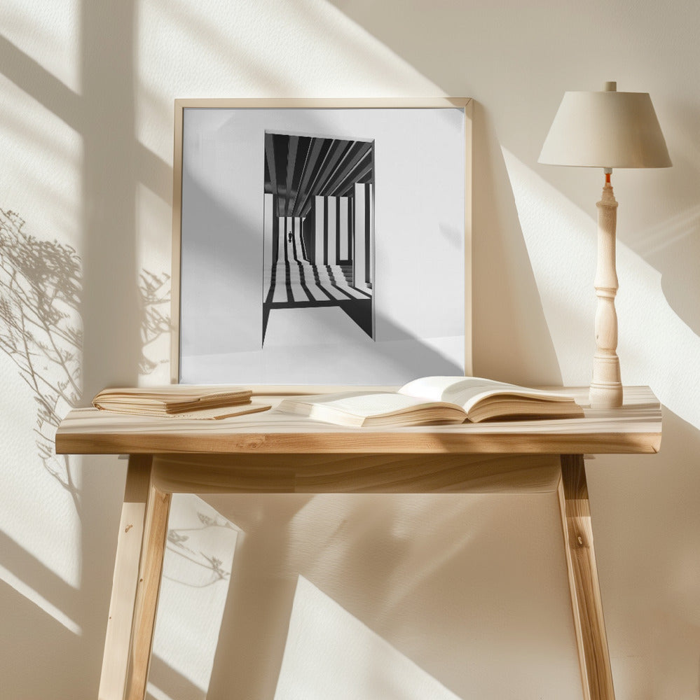 Lines and Shadows Poster