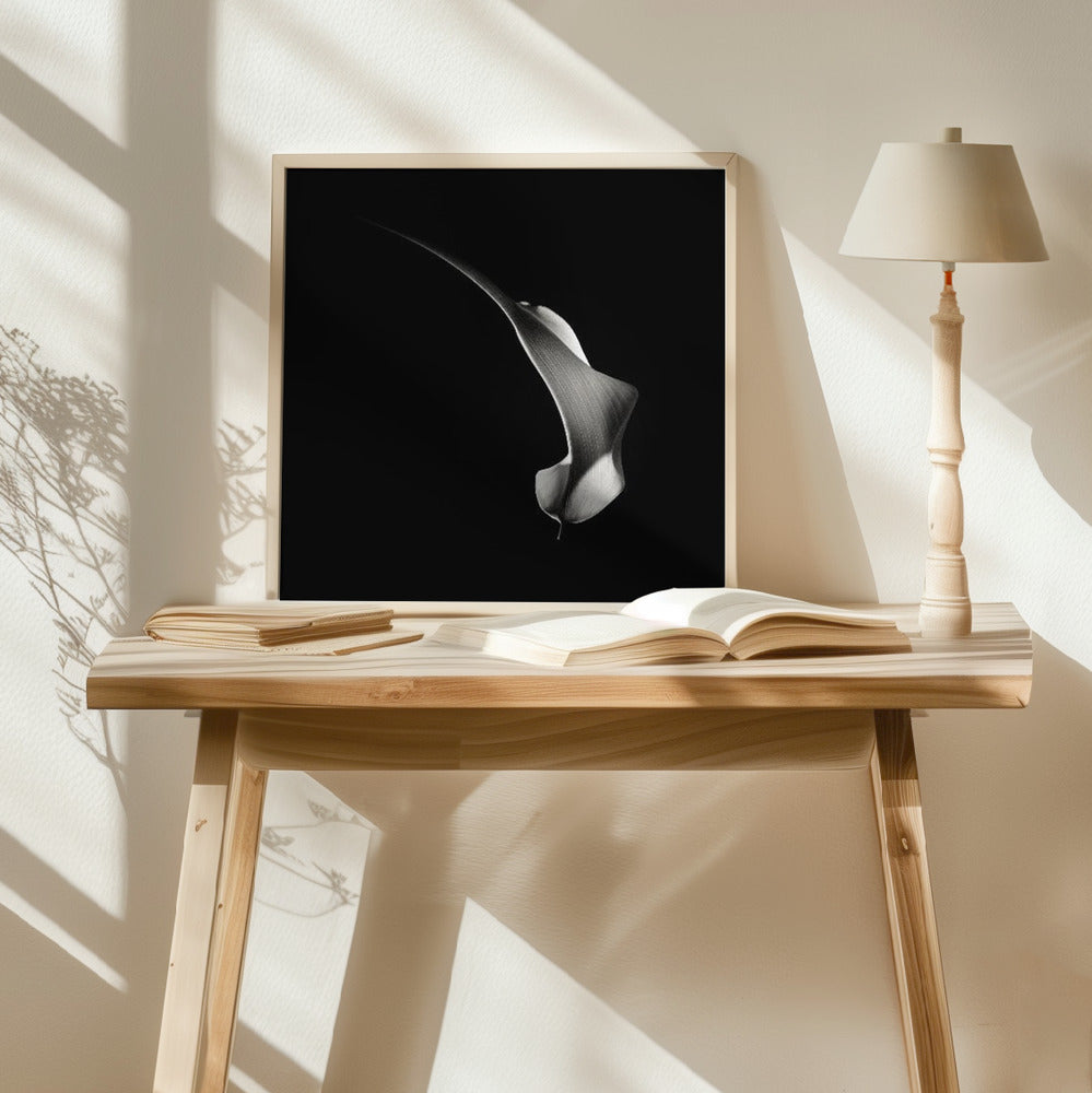 Hummingbird Abstraction (Calla Lily #3) Poster