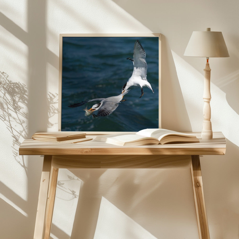 Robbery on the High Sea Poster