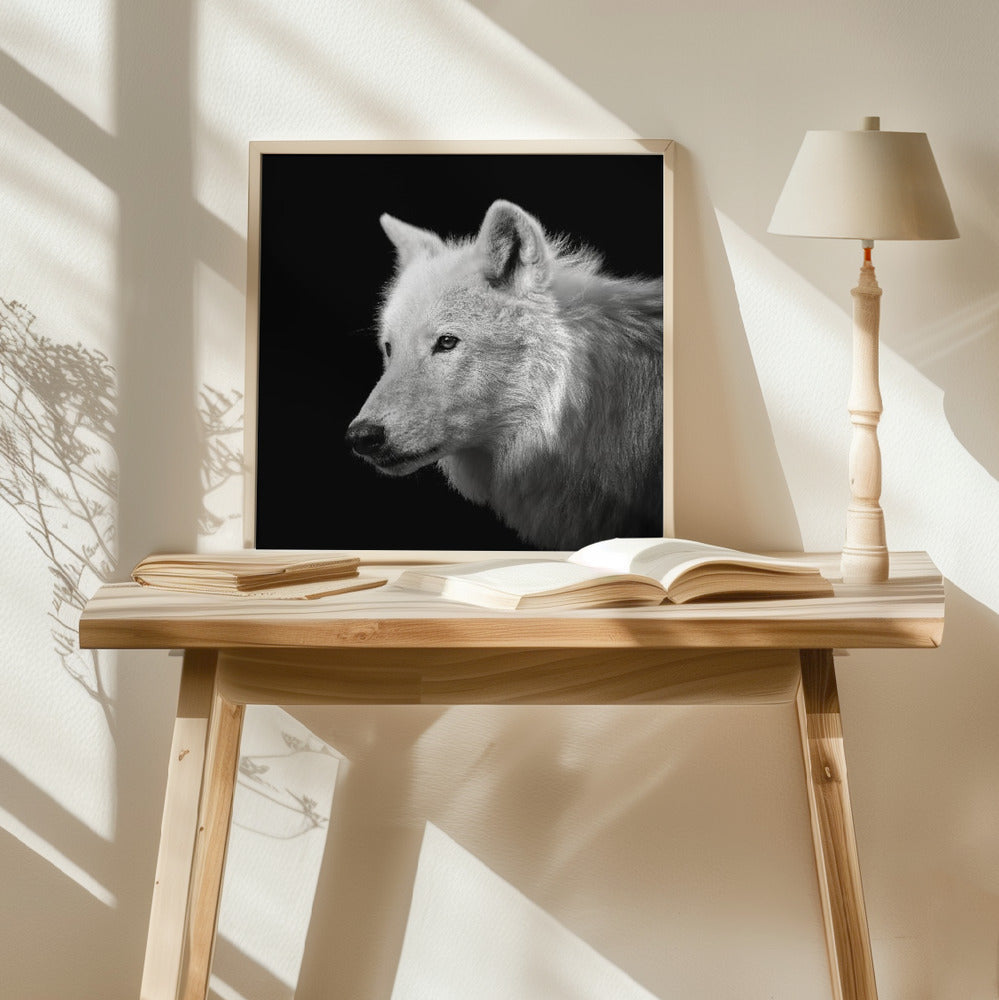 White Wolf #2 Poster