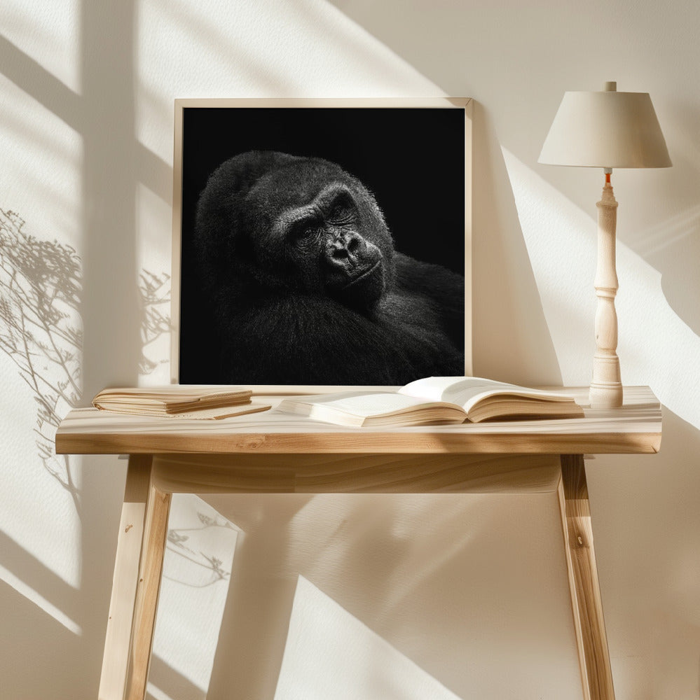 Gorilla Poster