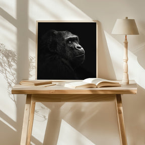 Gorilla Poster