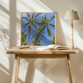 Lovely Palm Trees Poster