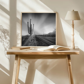 SAGUARO NATIONAL PARK Setting Sun | Monochrome Poster