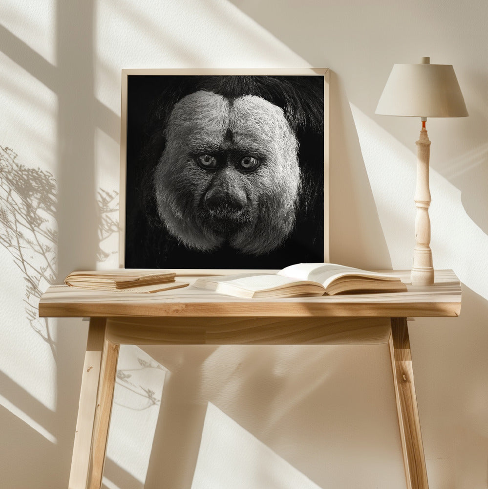 White-Faced Saki Poster